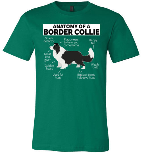 Anatomy of a Border Collie Canvas