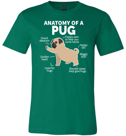 Pug Anatomy Canvas