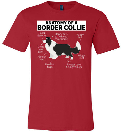 Anatomy of a Border Collie Canvas