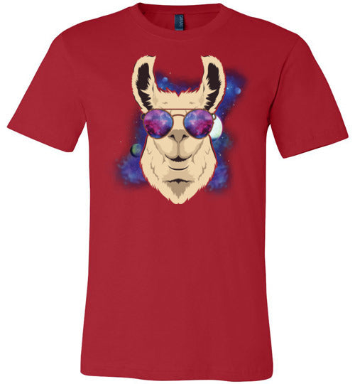 Llama Space Sunglasses Canvas