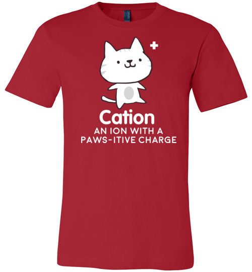 Cation Pawsitive Charge Canvas