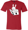 Bunny Reading Tale Of Two Bunnies Canvas