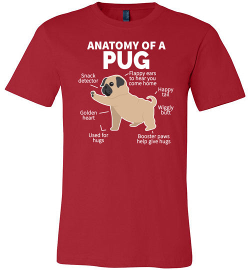 Pug Anatomy Canvas