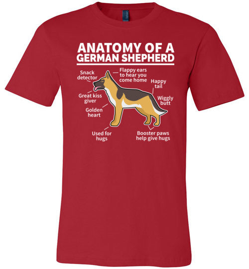 Anatomy of a German Shepherd Canvas