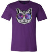 Cat Space Galaxy Glasses Canvas