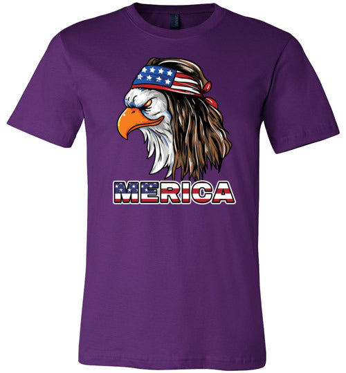 Eagle American Merica Canvas