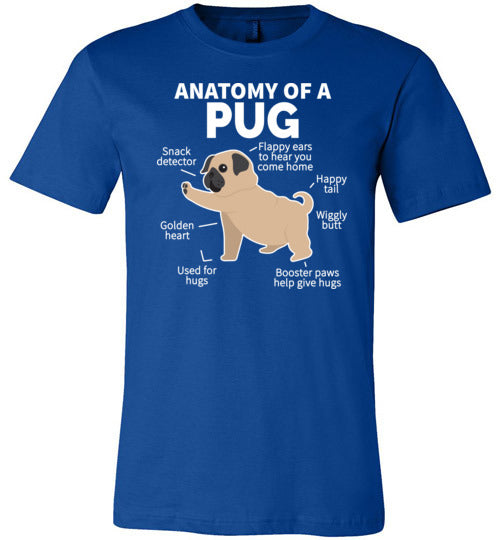 Pug Anatomy Canvas