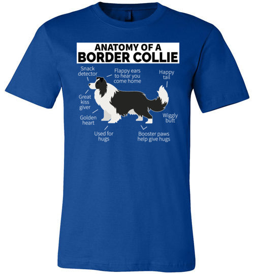 Anatomy of a Border Collie Canvas