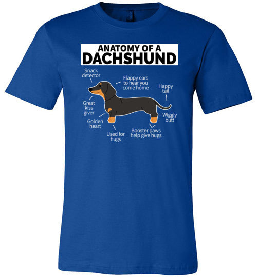 Dog Anatomy Dachshund Canvas