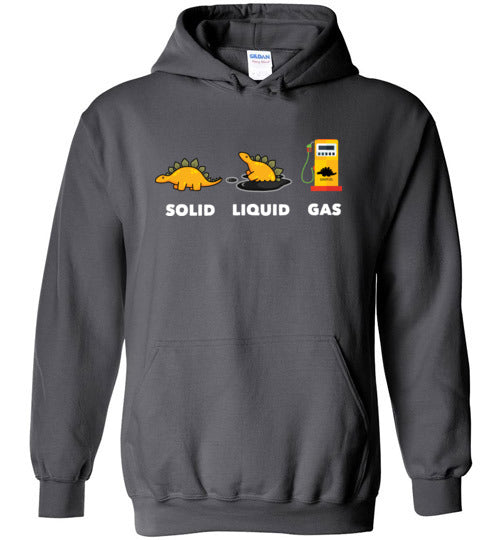 Dinosaur Solid Liquid Gas Hoodie