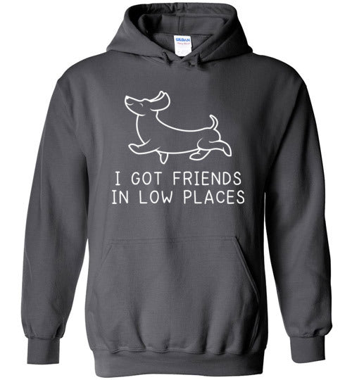 Dachshund Friends Low Places Hoodie