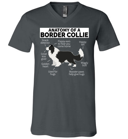 Anatomy of a Border Collie V-Neck