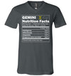 Zodiac Gemini Nutrition Facts V-Neck