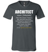 Architect Definition V-Neck