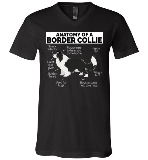 Anatomy of a Border Collie V-Neck