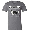 Anatomy of a Border Collie V-Neck