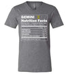 Zodiac Gemini Nutrition Facts V-Neck