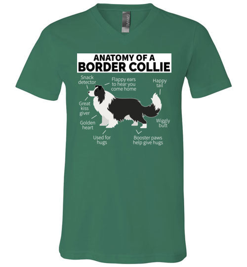 Anatomy of a Border Collie V-Neck