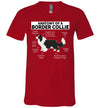 Anatomy of a Border Collie V-Neck