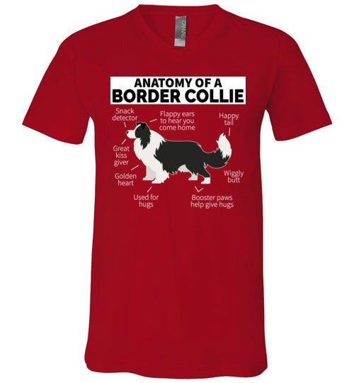 Anatomy of a Border Collie V-Neck