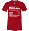 Zodiac Gemini Nutrition Facts V-Neck