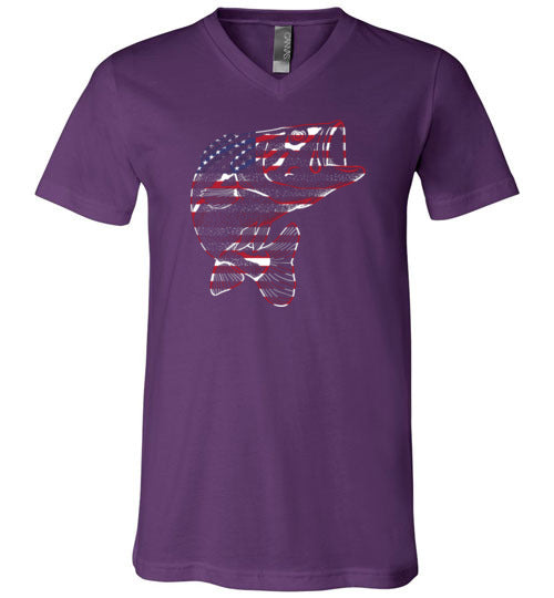 Bass Flag Fishing V-Neck