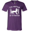 Centaur Of Attention V-Neck