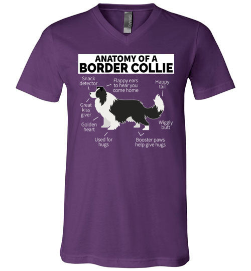Anatomy of a Border Collie V-Neck