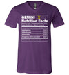 Zodiac Gemini Nutrition Facts V-Neck