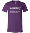 Whiskey Definition V-Neck