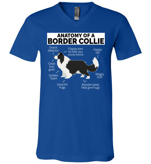 Anatomy of a Border Collie V-Neck