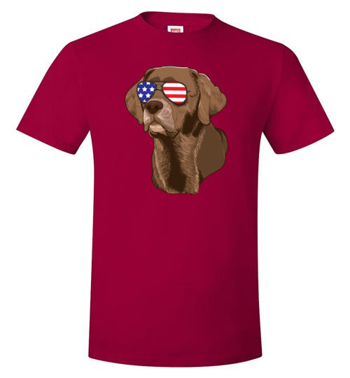 Chocolate Lab Sunglasses