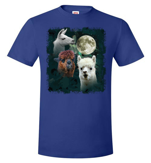 3 Llama Moon