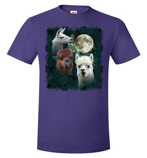 3 Llama Moon