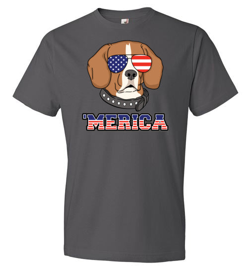 Beagle Merica