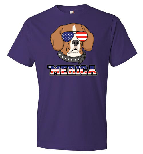 Beagle Merica