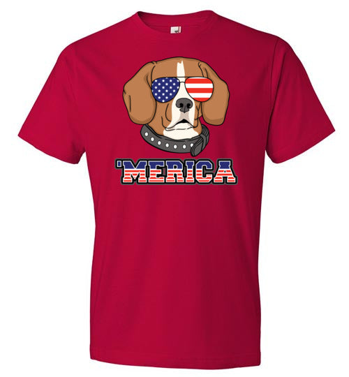 Beagle Merica