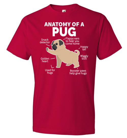 Anatomy of a Pug