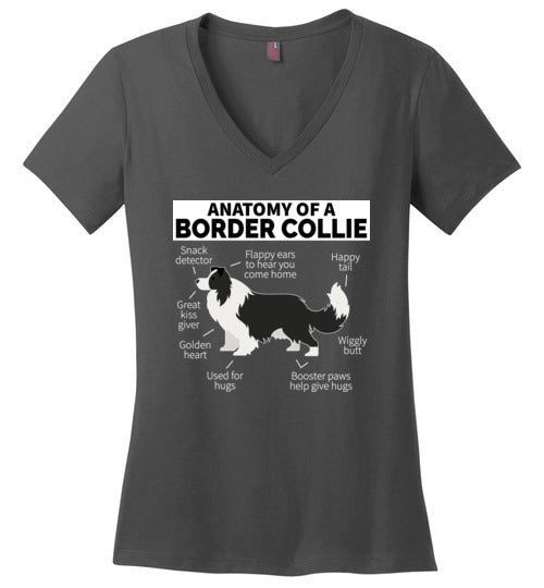 Anatomy of a Border Collie V-Neck