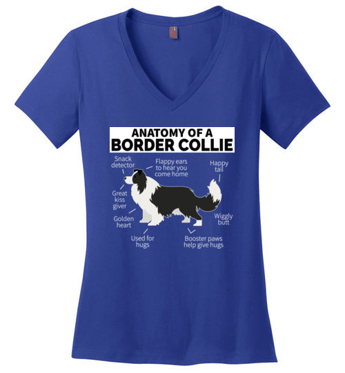 Anatomy of a Border Collie V-Neck