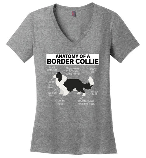 Anatomy of a Border Collie V-Neck