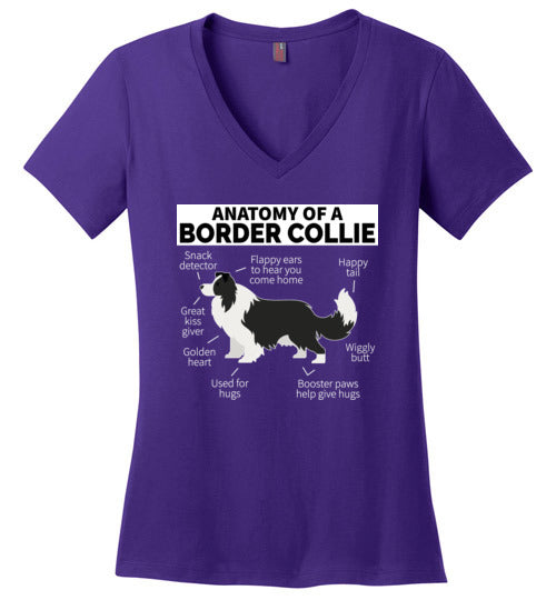 Anatomy of a Border Collie V-Neck