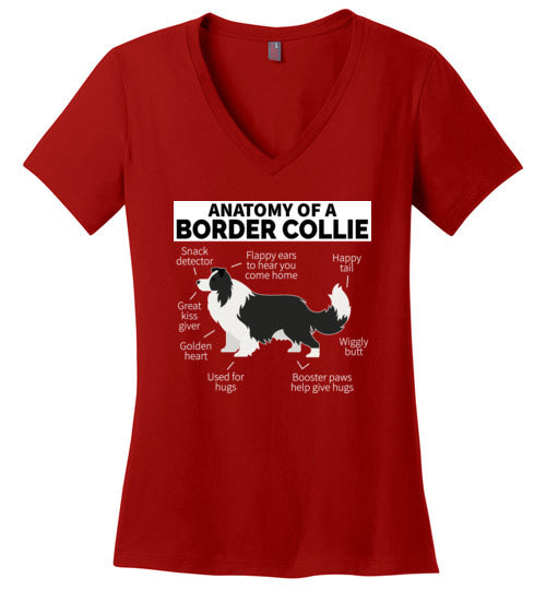 Anatomy of a Border Collie V-Neck