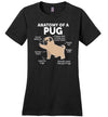 Pug Anatomy Canvas