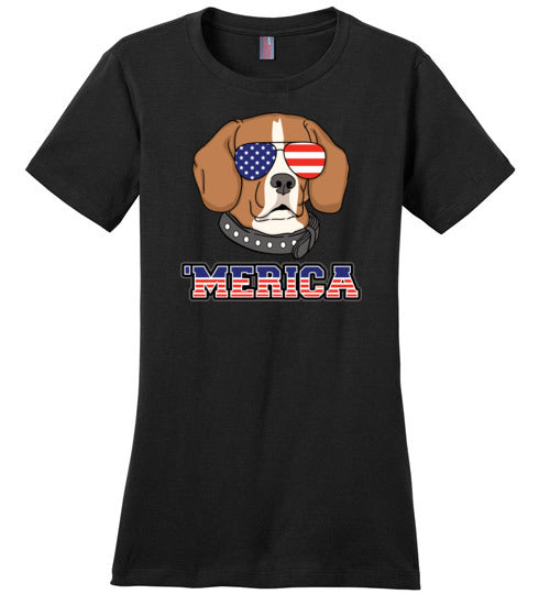Beagle Merica