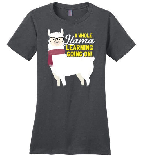 A Whole Llama Learning Going On