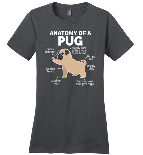 Pug Anatomy Canvas