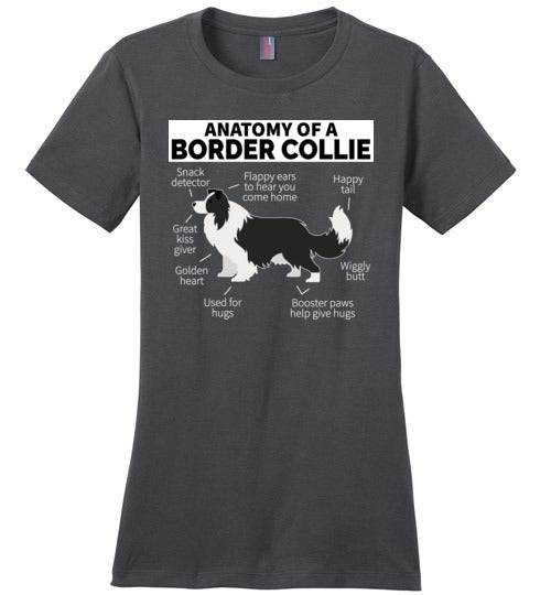 Anatomy of a Border Collie Canvas