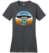 Alien Abduction Finally Canvas
