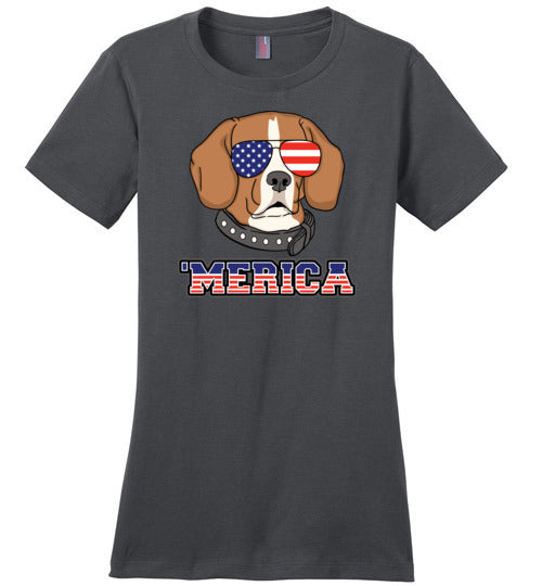 Beagle Merica